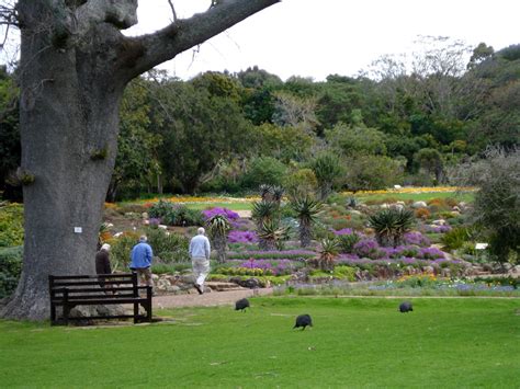 botanischer garten kirstenbosch fotos|200.000+ kostenlose Kirstenbosch Botanischer Garten und。